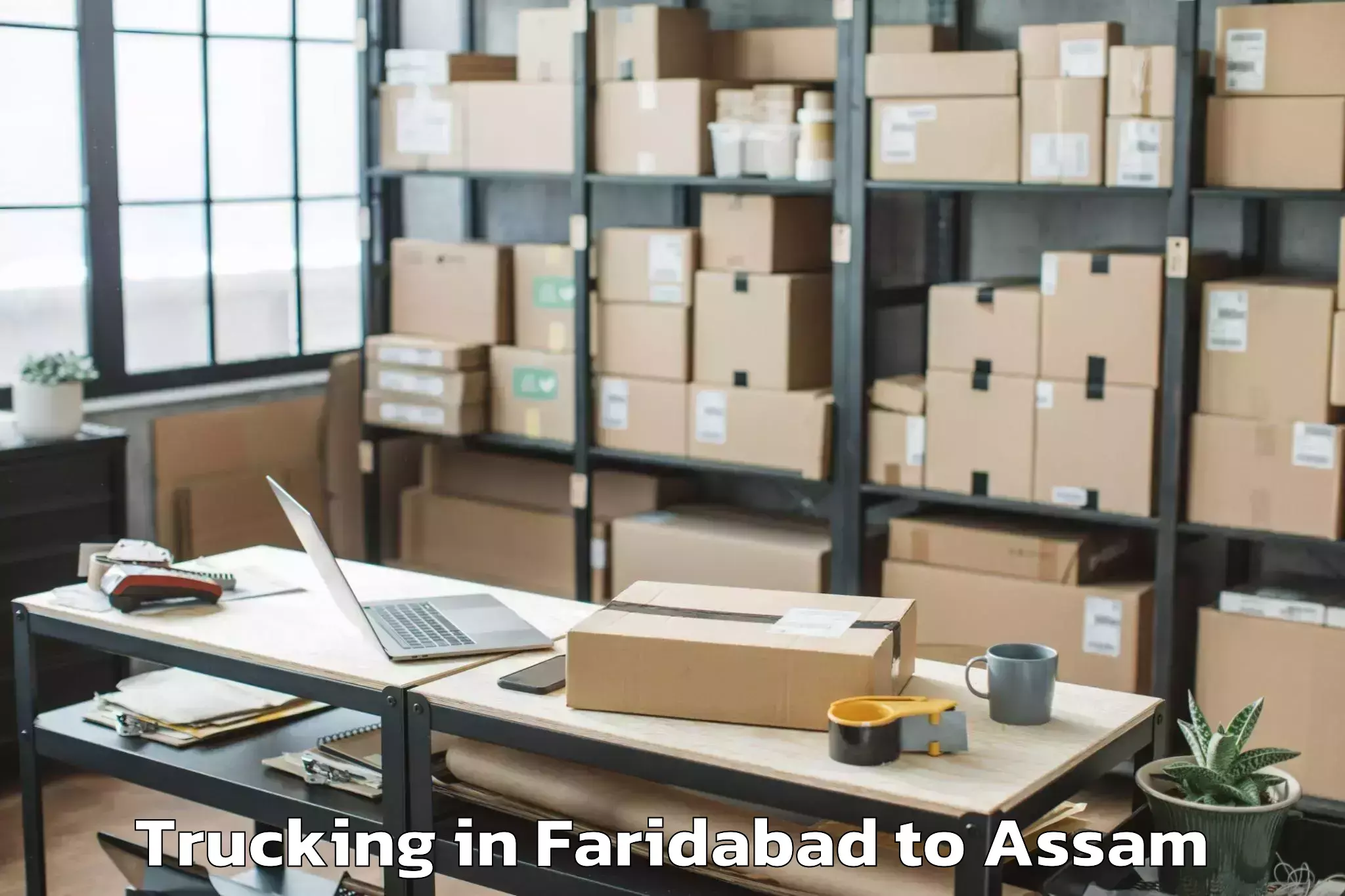 Reliable Faridabad to Dhakuakhana Pt Trucking